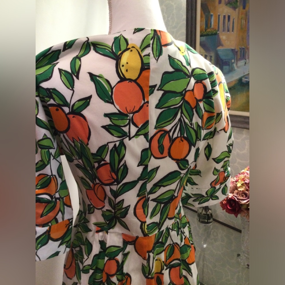 PRICE DROP! Gorgeous Citrus Print Dress w pockets - Picture 13 of 16